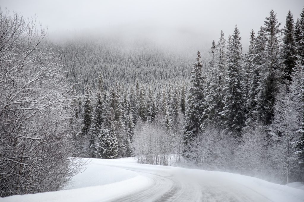 Winter Track & Street Corner