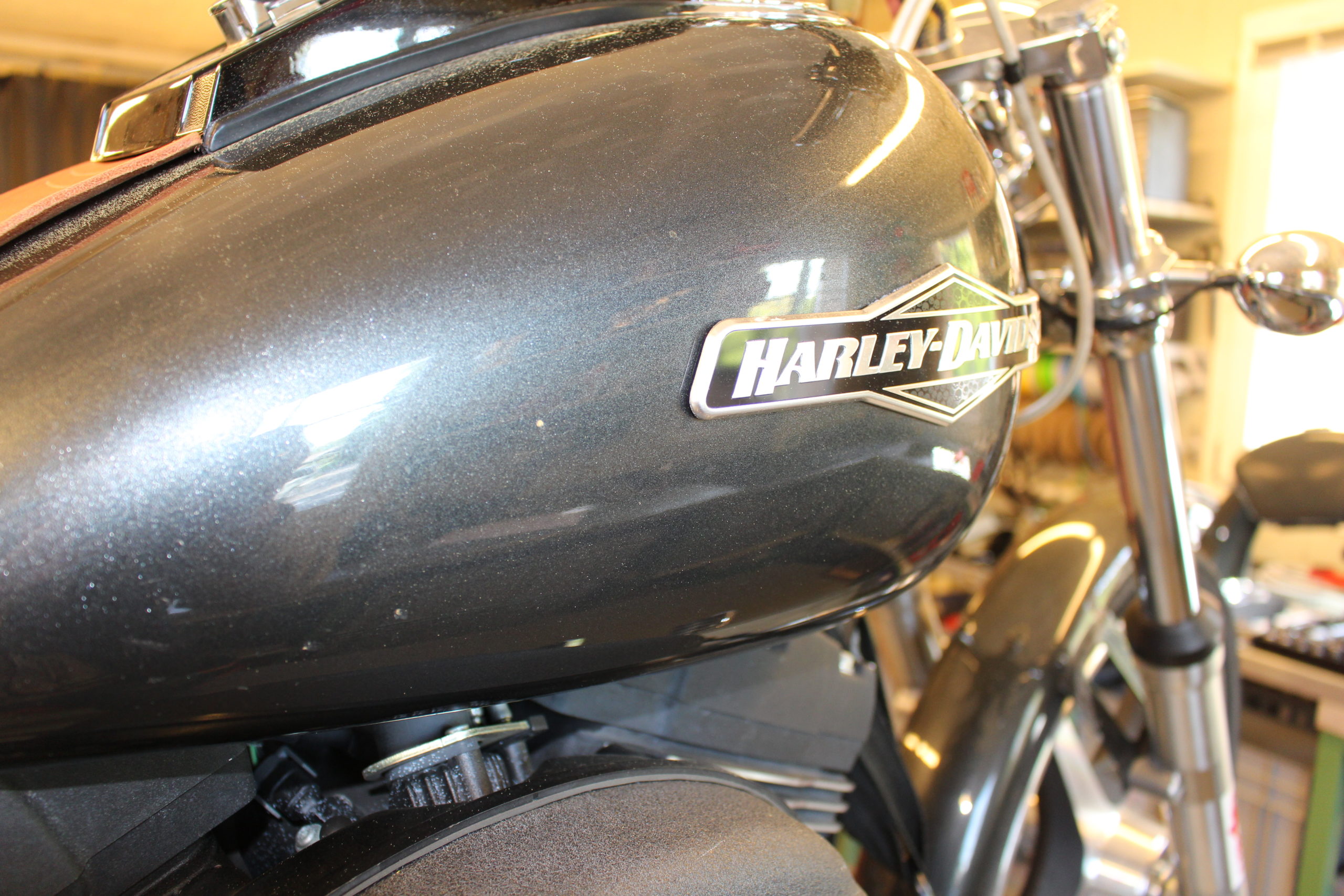 Harley Davidson Track & Street Corner